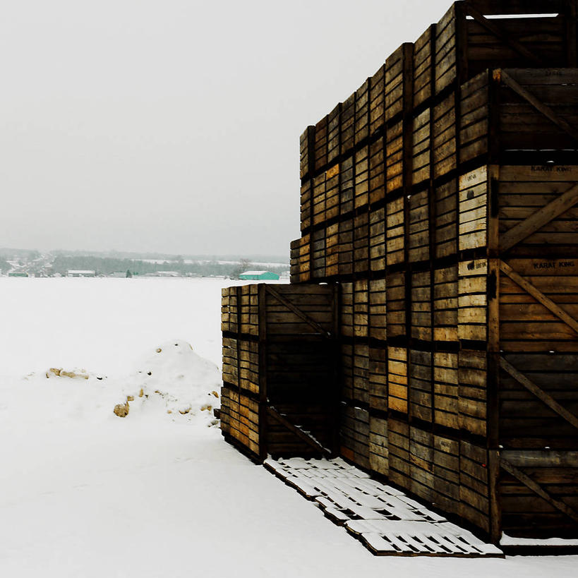 无人,方图,室外,白天,农业,雪,加拿大,许多,丰富,冬天,很多,自然,寒冷,摄影,环境,板条箱,安大略省