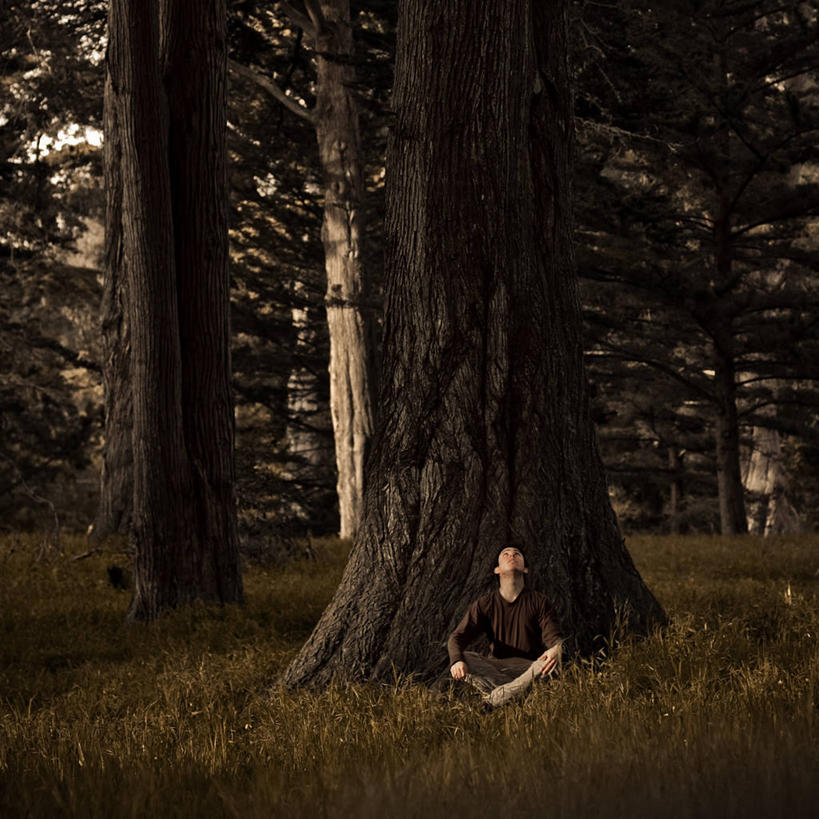 成年人,一个人,坐,方图,室外,森林,美国,仅一个男性,仅一个人,草,树,树干,仅一个年轻男性,自然,黄昏,看,向上看,放松,摄影,环境,近景,旧金山,男人,男性,年轻男性,年轻人,盘着腿坐,独处,好奇心