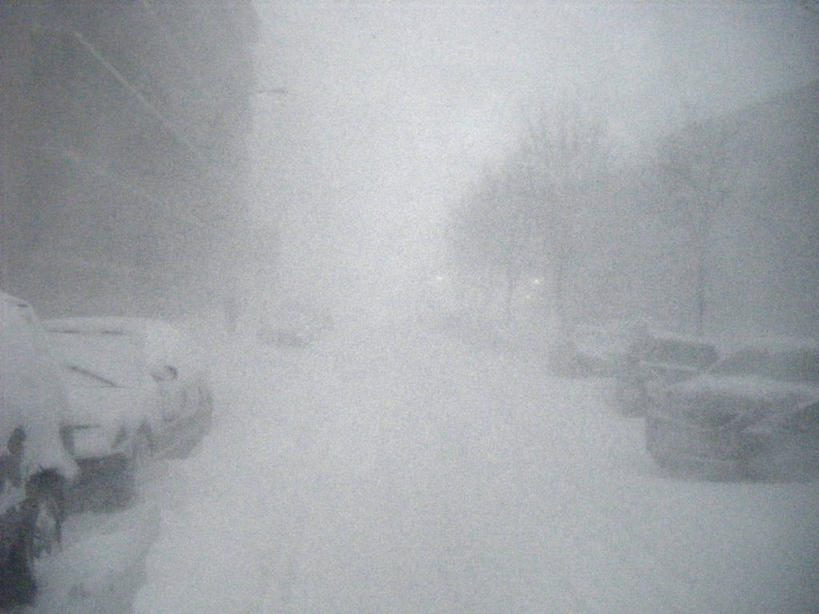 无人,横图,室外,白天,雪,暴风雨,雾,加拿大,冬天,天气,树,寒冷,运输,摄影,魁北克,蒙特利尔