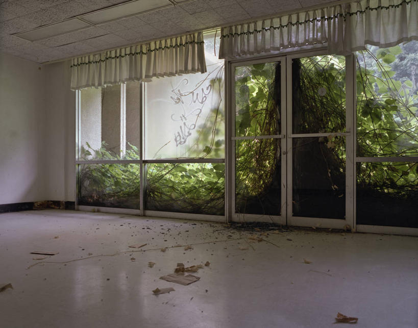 无人,横图,室内,白天,窗户,窗帘,门,建筑,美国,凌乱,装饰物,藤蔓,摄影,藤蔓植物,亚特兰大,乔治亚州