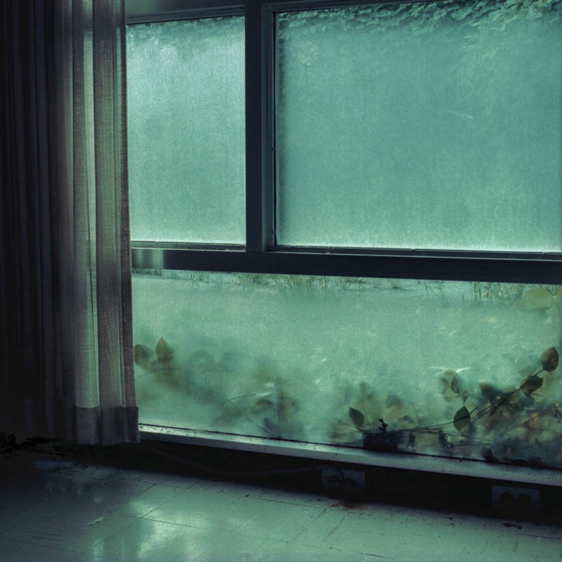 无人,方图,室内,白天,窗户,窗帘,玻璃,美国,装饰物,藤蔓,摄影,藤蔓植物,亚特兰大,乔治亚州