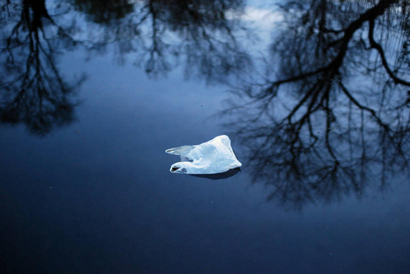 无人,横图,室外,荷兰,环保,漂浮,反射,包,垃圾,塑料袋,树,黄昏,摄影,能源,环境,污染,回收,资源,利用,低碳,循环,授粉,持续