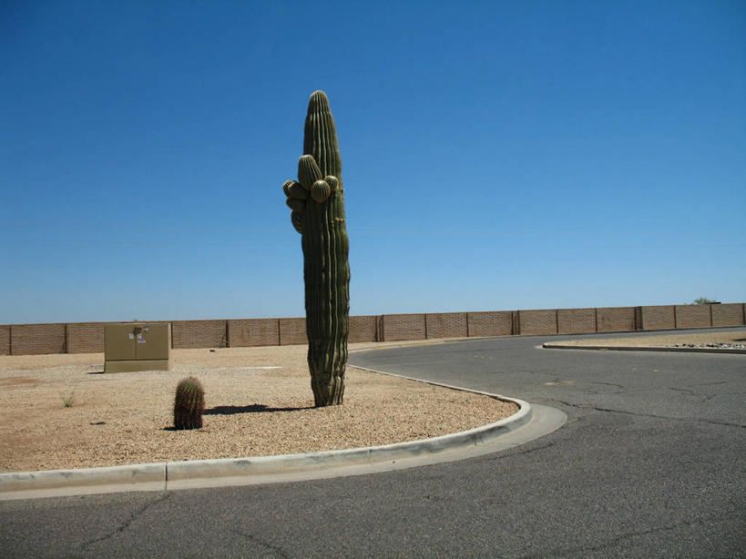 无人,横图,室外,白天,美景,沙漠,路,仙人掌,美国,景观,天空,自然,景色,摄影,蜿蜒,生长,宁静,环境,桶仙人掌,亚利桑那,自然风光,沙砾,万里无云,岩石,旅行,菲尼克斯市