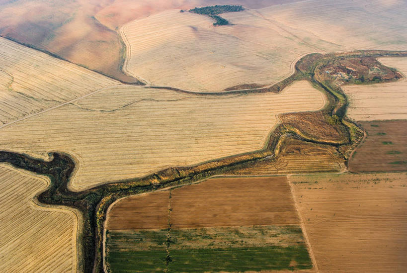 无人,横图,俯视,航拍,室外,白天,旅游,度假,农业,美景,以色列,地形,景观,田地,娱乐,草,风景,自然,享受,休闲,景色,放松,摄影,宁静,环境,中东,鸟瞰,自然风光,内盖夫,内格夫沙漠,高角度拍摄,旅行