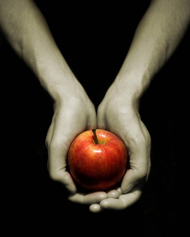 成年人,手,一个人,竖图,俯视,室内,特写,苹果,水果,美国,仅一个男性,黑色背景,拿着,饮食,红色,黑色,人体,摄影,部分,北美,北美洲,加利福尼亚,美洲,健康食物,北亚美利加洲,亚美利加洲,慷慨,捧着,高角度拍摄,影棚拍摄,给予,美利坚合众国