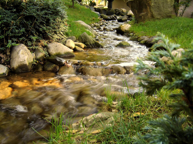 无人,植物园,横图,室外,白天,美景,叶子,景观,流水,草,小溪,自然,景色,摄影,宁静,环境,自然风光,塞尔维亚,岩石,旅行,贝尔格雷德