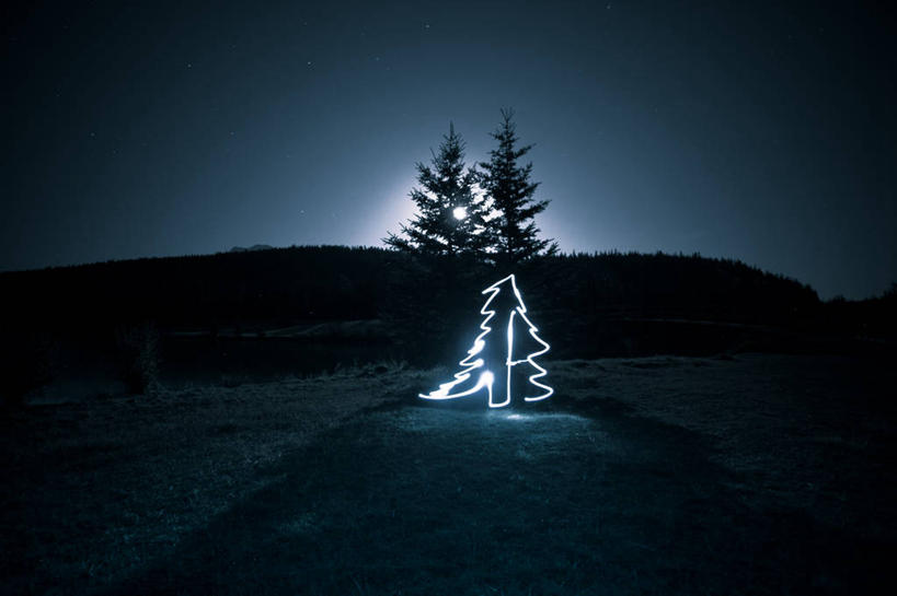 无人,横图,室外,夜晚,加拿大,庆祝,光亮,树,摄影,宁静,照亮,创造力,亚伯达,班夫,传统文化,独处