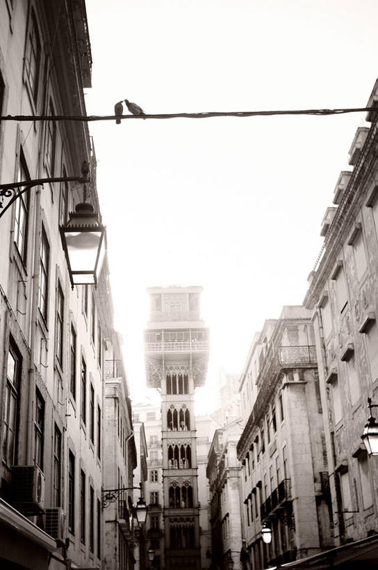 无人,竖图,室外,白天,仰视,建筑,路灯,鹦鹉,葡萄牙,欧洲,连接,光亮,首都,浪漫,里斯本,天空,动物,两只,摄影,照亮,照明设备,里斯本区,南欧,市区,伊比利亚半岛,万里无云,葡萄牙共和国,低角度拍摄,旅行,爱