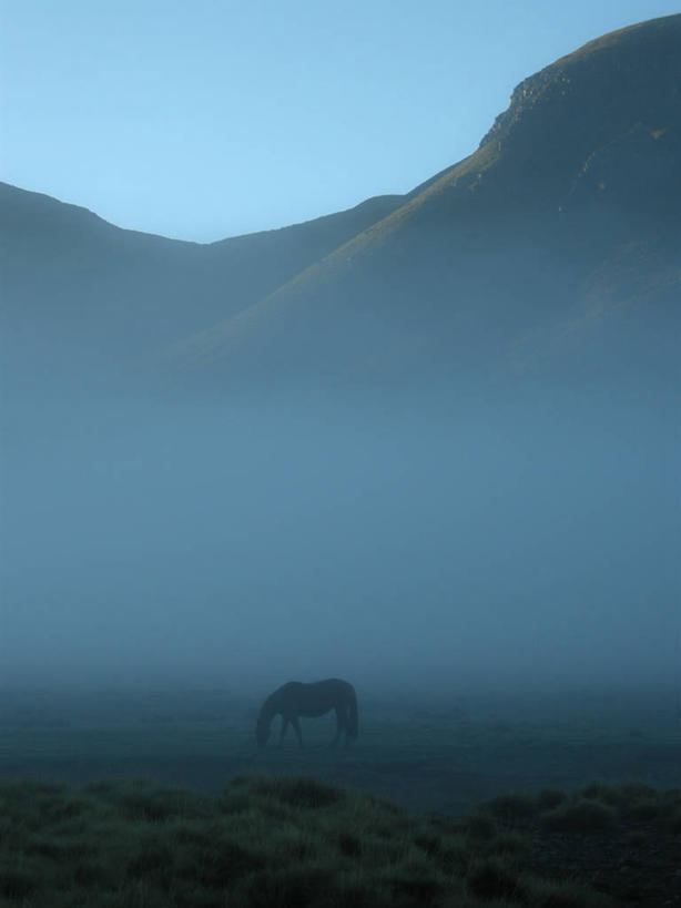 无人,竖图,室外,石头,日落,峡谷,雾,马,野生动物,智利,石子,山谷,风景,自然,黄昏,动物,南美,摄影,环境,岩层,石块,岩石,独处
