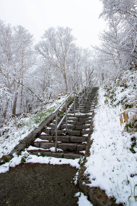 无人,栏杆,竖图,室外,白天,雪,楼梯,北海道,日本,覆盖,日本文化,天气,寒冷,摄影,东亚,旅行