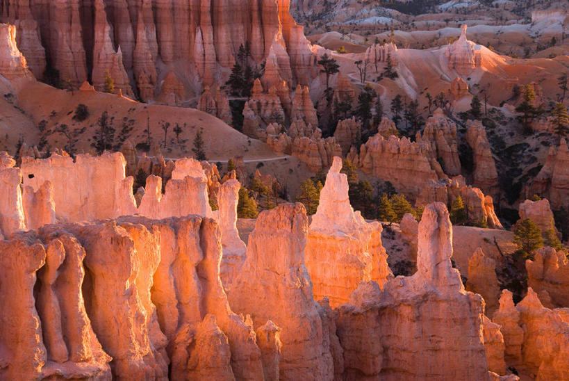 无人,横图,室外,峡谷,美国,黎明,风景,自然,地标建筑,摄影,环境,国家公园,布莱斯峡谷国家公园,自然地理,旅行