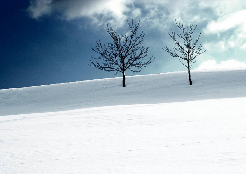 无人,横图,室外,白天,美景,雪,德国,景观,云,树,风景,天空,自然,景色,寒冷,摄影,生长,宁静,环境,自然风光,中欧,落叶树,巴伐利亚,胡桃树,旅行