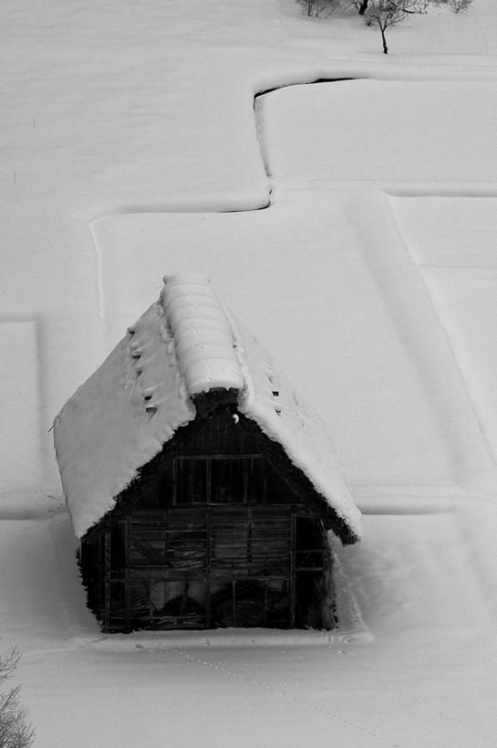 无人,家,竖图,俯视,室外,雪,别墅,日本,木制,房屋,屋子,冬天,公寓,联合国,洋房,楼房,住宅,自然,寒冷,摄影,宁静,环境,东亚,中部地方,岐阜县,高角度拍摄,房子,联合国教科文组织,白川