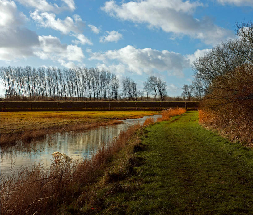 无人,横图,室外,白天,美景,水,荷兰,反射,景观,云,堤岸,水坝,树,天空,自然,冷饮,景色,摄影,宁静,环境,自然风光,旅行