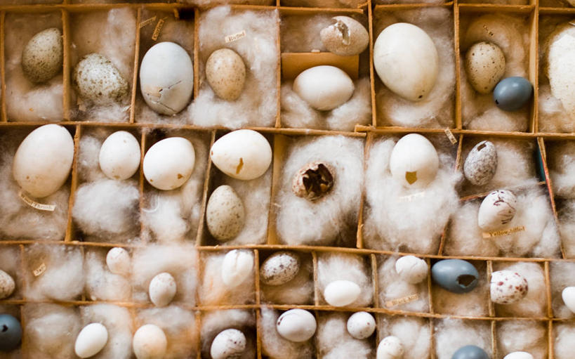 无人,横图,俯视,室外,白天,化妆,美容,美国,许多,护肤,很多,盒子,化妆棉,化妆品,保养,享受,休闲,放松,保健,摄影,多样,保护,北美,北美洲,化妆用品,美洲,养颜,北亚美利加洲,亚美利加洲,卵,内布拉斯加,开端,高角度拍摄,全画面,全框架,全帧,美利坚合众国,全画幅,奥马哈