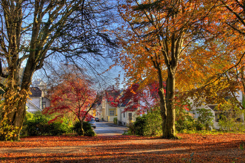 无人,横图,室外,白天,美景,路,叶子,挪威,欧洲,景观,枝,树,红色,风景,自然,景色,摄影,落下,宁静,环境,斯堪的纳维亚,自然风光,北欧,斯堪的那维亚,斯堪的那维亚半岛,斯堪的纳维亚半岛,改变,斯堪狄纳维亚半岛,挪威王国,斯塔万格,罗加兰,罗加兰郡,秋天,旅行