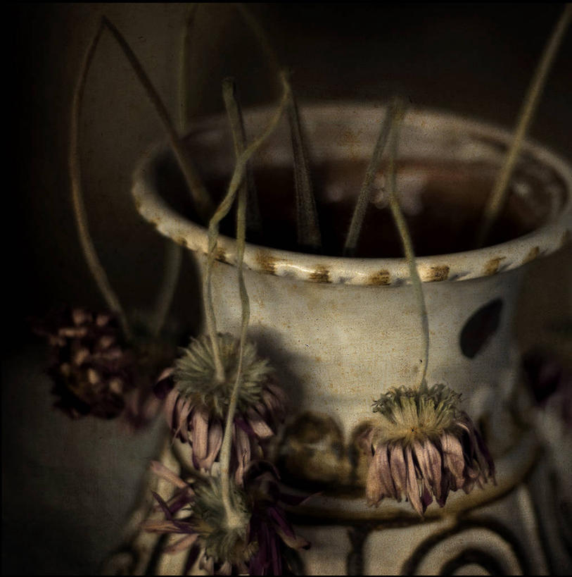 无人,竖图,室内,特写,时尚,植物,花瓶,荷兰,枯萎,花,t台,摄影,死亡,脆弱,干的,结束,枯败,乌特勒支,时装表演,时装秀,t型台,走秀