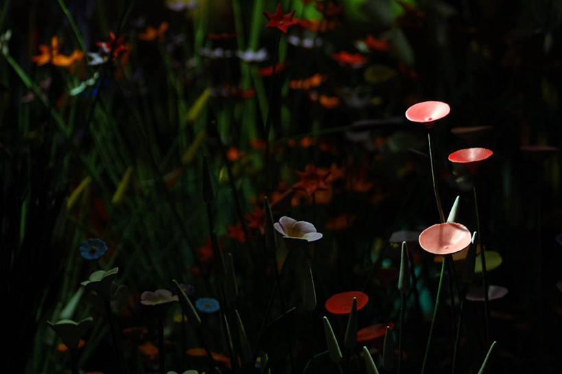 无人,横图,室外,白天,美景,纽约,美国,圣诞节,庆祝,景观,市场,花,自然,景色,摄影,多样,脆弱,自然风光,选择,促销,纽约州,法定假日,商业活动