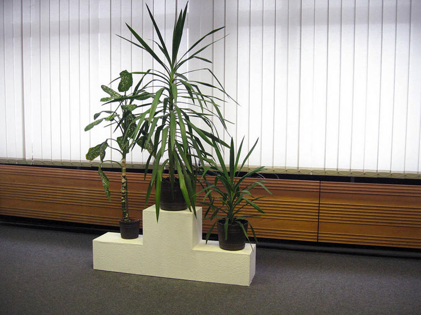 无人,横图,室内,白天,成功,竞争,窗帘,德国,领奖台,自然,装饰物,摄影,生长,环境,成就,中欧