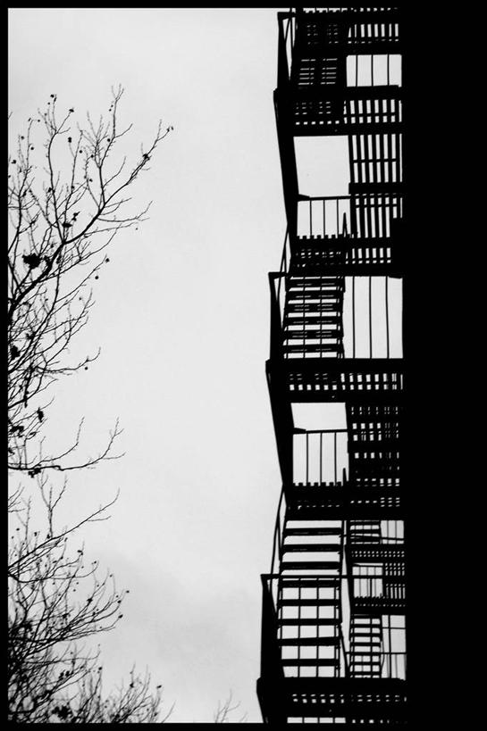 无人,竖图,黑白,室外,白天,仰视,重复,安全,建筑,纽约,美国,冬天,枝,天气,台阶,摄影,剪影,逆光,纽约州,低角度拍摄,防火梯