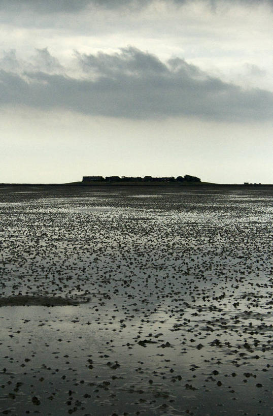 无人,竖图,室外,德国,欧洲,反射,云,风景,天空,自然,黄昏,摄影,宁静,环境,西欧,剪影,逆光,中欧,德意志联邦共和国,潘塔纳尔湿地,石荷州,石勒苏益格.荷尔斯泰因,石勒苏益格.荷尔斯泰因州,旅行