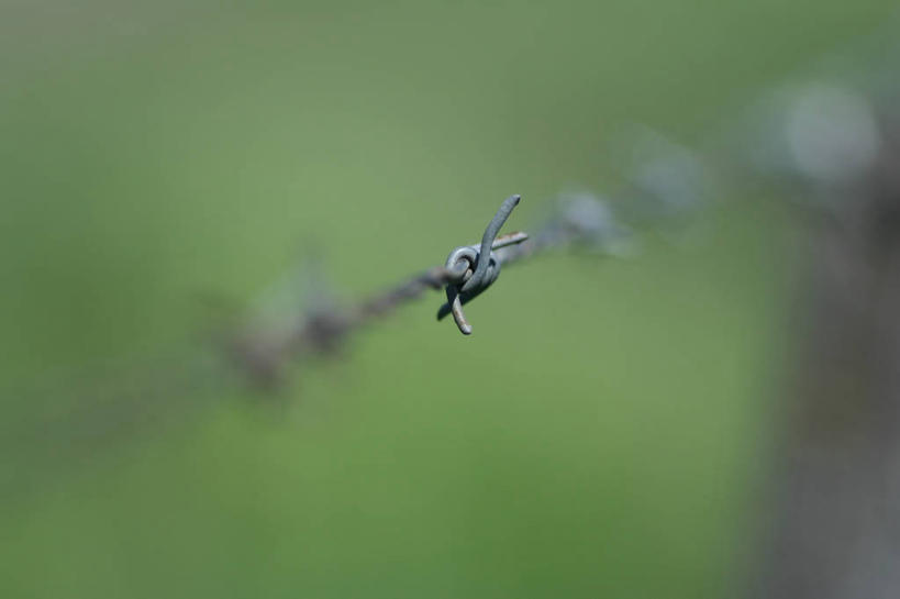 无人,横图,室外,特写,白天,安全,阿根廷,缠绕,金属,一个,南美,打结,摄影,单个,保护,金属丝,想法,带刺铁丝网