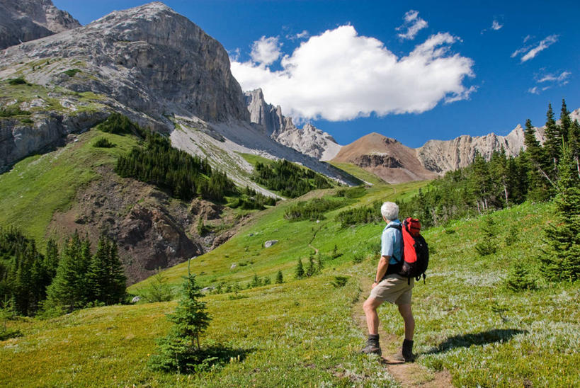 成年人,中年人,老年人,头发,一个人,站,横图,室外,白天,旅游,度假,探险,美景,山,美国,加拿大,仅一个男性,仅一个人,仅一个中年男性,阴影,短裤,包,景观,云,拿着,休闲装,娱乐,草,树,背面,衣服,天空,自然,享受,休闲,景色,放松,摄影,宁静,环境,北美,北美洲,国家公园,运送,自然风光,美洲,户外活动,背包客,阿尔伯塔省,科罗拉多州,阿尔伯塔,洛矶山脉,北亚美利加洲,亚美利加洲,艾伯塔,艾伯塔省,卡尔加里,加拿大落基山脉,亚伯达,卡纳纳斯基斯,冒险,男人,男性,中年男性,休闲活动,旅行,阿省,艾省,亚伯达省,亚省,美利坚合众国,卡城,落基山国家公园