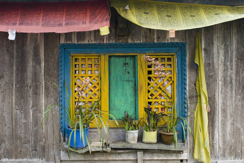 无人,横图,室外,特写,白天,植物,窗户,印度,一排,关闭,整齐,飞,经幡,排列,摄影,宗教,佛教,生长,队列,封闭,修道院,宗教用品,灵性,锡金,印度次大陆,传统文化