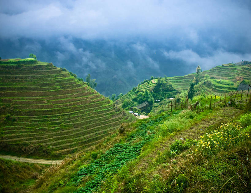 无人,横图,俯视,室外,白天,农业,梯田,美景,桂林,稻田,景观,云,树,自然,景色,摄影,生长,宁静,自然风光,龙胜,高角度拍摄
