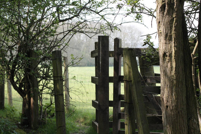 无人,横图,室外,白天,英国,栅栏,篱笆,树,树干,自然,摄影,保护,宁静,北欧