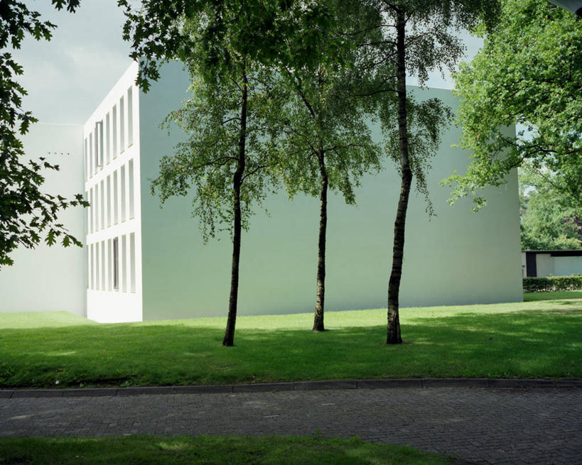 无人,横图,室外,白天,草坪,建筑,荷兰,阴影,庭院,云,小路,树,自然,摄影,白桦,宁静