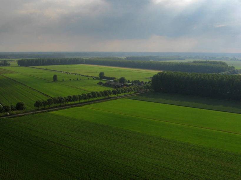 无人,农场,横图,俯视,室外,农业,草地,草原,美景,荷兰,地形,景观,云,黎明,树,风景,自然,景色,摄影,灌木,宁静,自然风光,高角度拍摄,海尔德兰