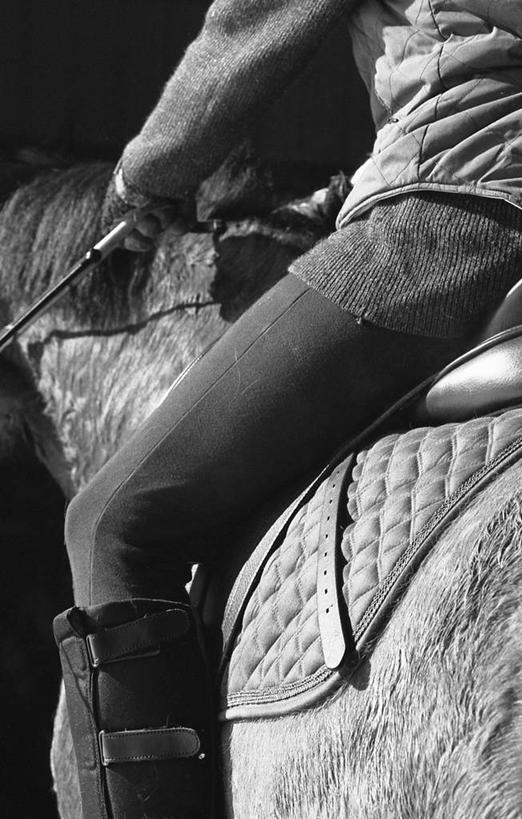 一个人,竖图,黑白,室外,特写,美国,骑马,拿着,摄影,北美,北美洲,美洲,马靴,鬃毛,北亚美利加洲,亚美利加洲,密歇根,密歇根州,貂熊州,狼獾之州,狼獾州,美利坚合众国