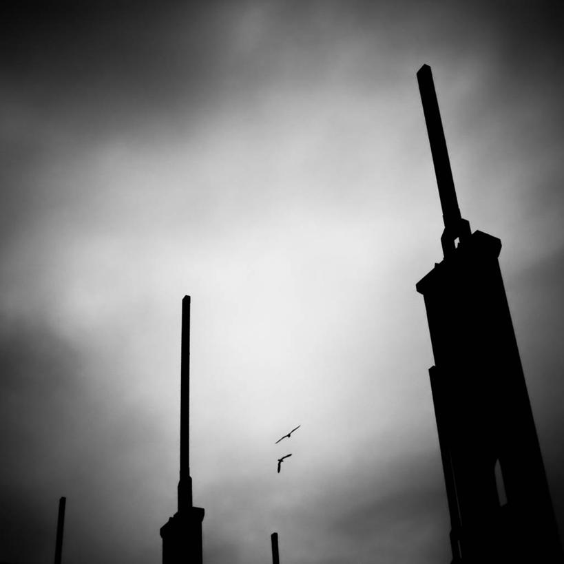 无人,工厂,方图,黑白,室外,白天,仰视,烟囱,意大利,鸟类,飞,动物,两只,烟,发电站,工业,摄影,能源,污染,南欧,剪影,空气污染,低角度拍摄