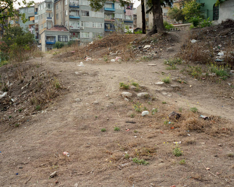 无人,横图,室外,白天,欧洲,房屋,陆地,泥土,小路,垃圾,草,树干,摄影,中东,伊斯坦布尔,彩图