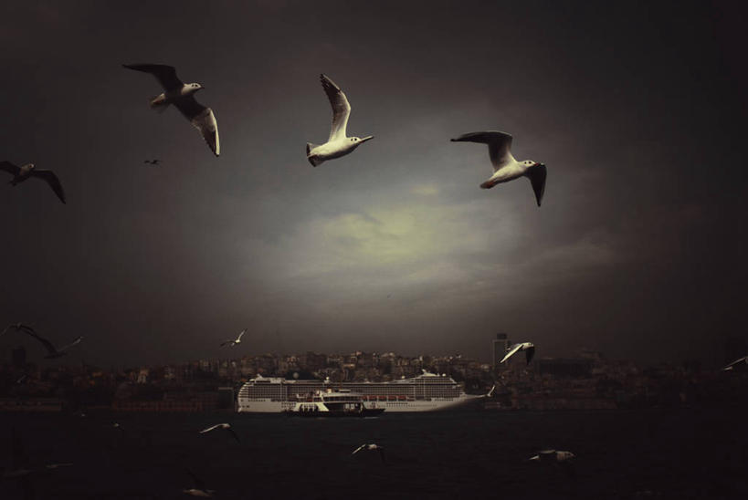 无人,横图,室外,白天,度假,美景,水,多云,城市风光,城市,海鸟,海鸥,欧洲,一群,许多,鸟类,景观,云,很多,半空,娱乐,飞,天空,享受,休闲,景色,放松,运输,摄影,中东,渡轮,客船,伊斯坦布尔,海峡,博斯普鲁斯海峡,彩图,伊斯坦布尔省