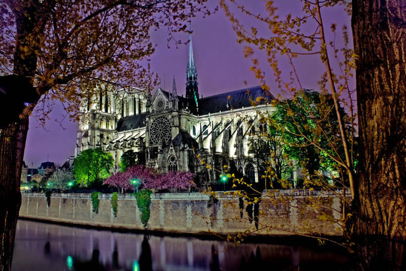 无人,横图,室外,河流,建筑,法国,巴黎,巴黎圣母院,反射,流水,光亮,首都,树干,黄昏,地标建筑,摄影,宗教,宁静,照亮,基督教,塞纳河,法国文化,中欧,法兰西岛大区,彩图,旅行,大教堂,斯德岛
