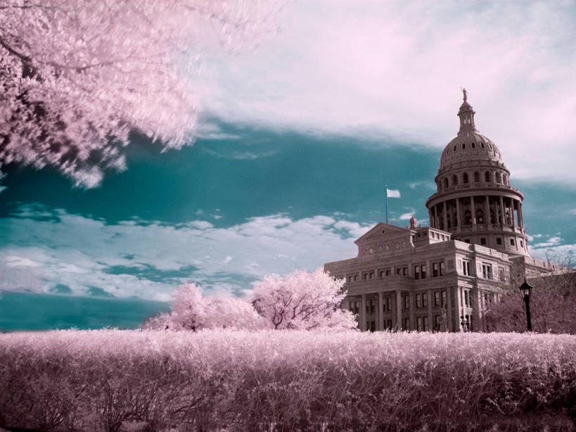 无人,横图,室外,白天,仰视,草地,建筑,美国,田地,云,粉色,天空,摄影,北美,政府大楼,北美洲,圆顶建筑,美洲,德克萨斯,北亚美利加洲,亚美利加洲,奥斯汀镇,彩图,低角度拍摄,美利坚合众国