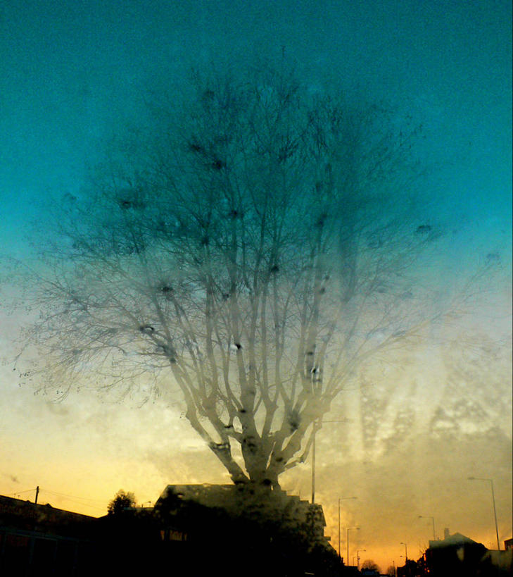 无人,竖图,室外,美景,日落,英国,挡风玻璃,房屋,景观,冬天,树,天空,自然,景色,摄影,自然风光,北欧,剪影,彩图