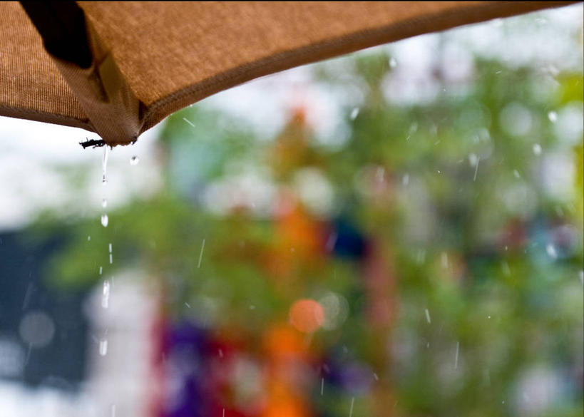 无人,横图,室外,白天,留白,雨,美国,伞,天气,摄影,部分,彩图