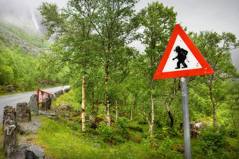 无人,横图,室外,白天,雾,路,指示牌,挪威,欧洲,标志,文字,地形,警告,标识,树,警示,摄影,禁止,幽默,提醒,斯堪的纳维亚,提示,限制,北欧,斯堪的那维亚,斯堪的那维亚半岛,斯堪的纳维亚半岛,交通标志,斯堪狄纳维亚半岛,警告标志,挪威王国,默勒.鲁姆斯达尔,默勒.鲁姆斯达尔郡,危险,彩图