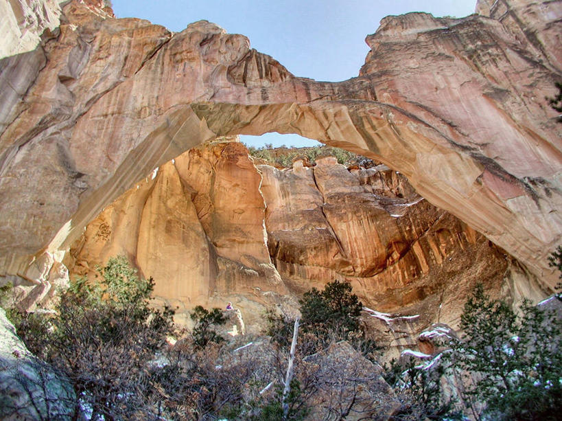 无人,横图,室外,白天,仰视,美国,宏伟,风景,摄影,灌木,新墨西哥,岩石,彩图,低角度拍摄,旅行,国家纪念碑,韧性