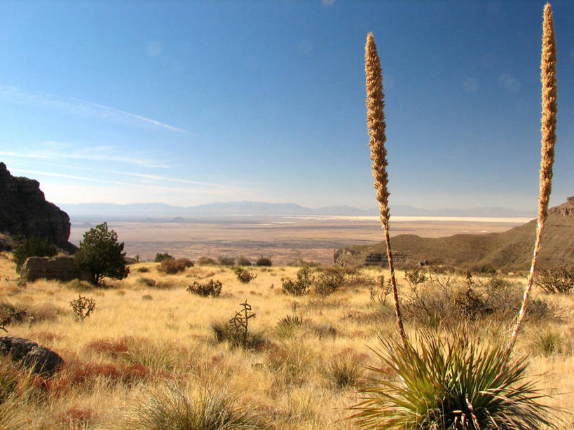 无人,横图,室外,白天,美景,山脉,仙人掌,美国,地平线,地形,景观,辽阔,地面,风景,自然,平原,广阔,景色,摄影,宁静,一望无际,北美,北美洲,自然风光,延伸,美洲,新墨西哥,州立公园,新墨西哥州,天地相交,北亚美利加洲,亚美利加洲,迷人之地,迷人之州,无边无际,一马平川,阿拉莫戈多,彩图,美利坚合众国