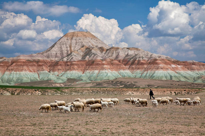 一个人,横图,室外,白天,农业,牧场,美景,山,欧洲,一群,许多,地形,景观,羊群,首都,很多,风景,自然,景色,摄影,牲畜,岩层,自然风光,安卡拉,自然地理,岩石,绵羊,彩图