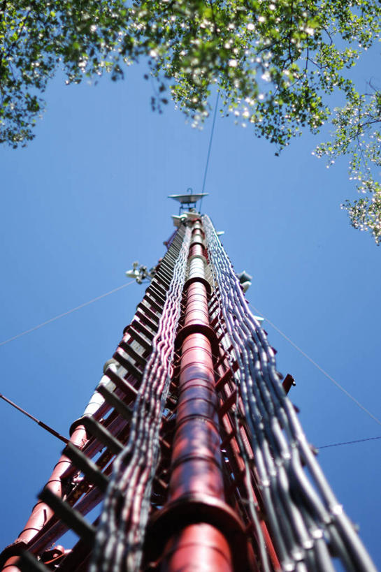 无人,竖图,室外,白天,仰视,通讯,俄罗斯,塔,树,摄影,万里无云,无线电通信塔,彩图,低角度拍摄