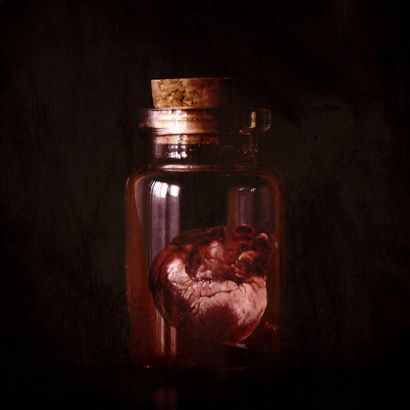 方图,西班牙,关闭,黑色背景,透明,科学,两个,摄影,生物学,封闭,广口瓶,人体结构,福尔马林,彩图,影棚拍摄,暗调