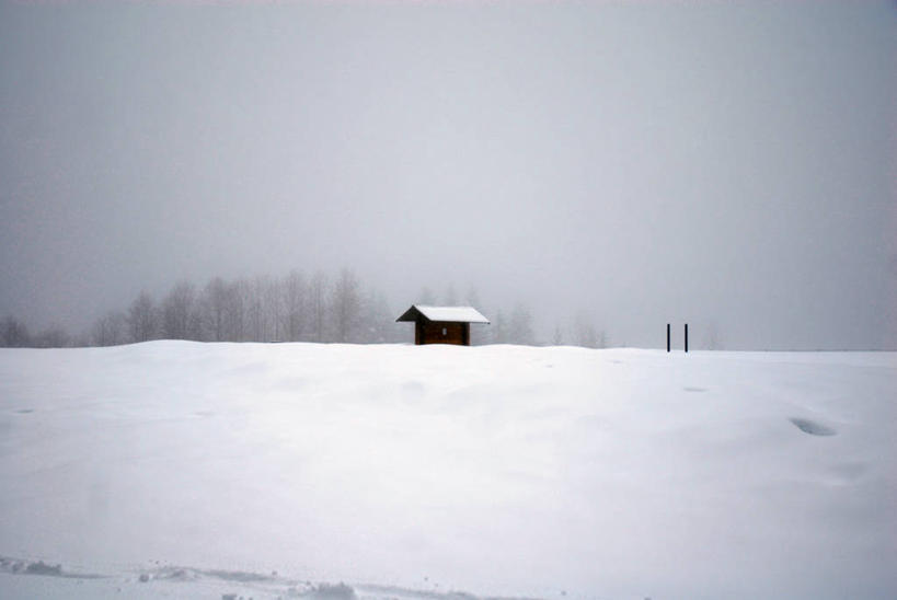 无人,横图,室外,白天,美景,雪,雾,加拿大,景观,田地,冬天,自然,景色,寒冷,摄影,宁静,自然风光,惠斯勒,彩图,小屋,林荫大道
