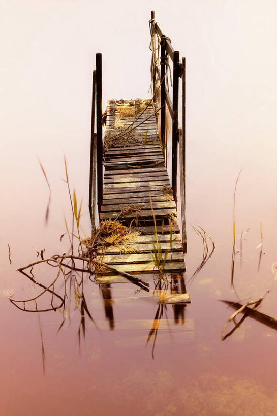 无人,竖图,室外,白天,法国,堆积,生锈,木制,池塘,紫色,自然,摄影,人行桥,宁静,腐蚀,侵蚀,风化,腐化,锈迹斑斑,风蚀,石化,风蚀地貌,岩石层,岩石,彩图,水灾,白菖蒲