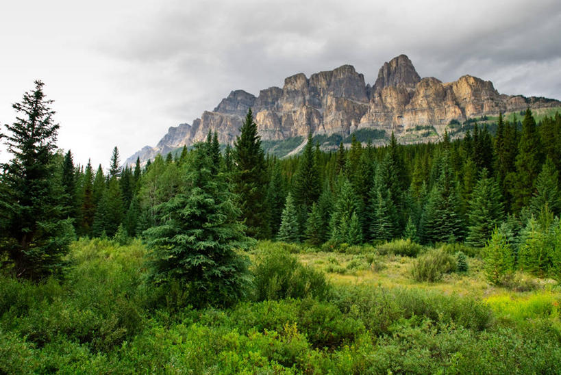 无人,横图,室外,白天,草地,美景,森林,山脉,加拿大,地形,景观,山顶,云,风景,自然,景色,摄影,自然风光,班夫国家公园,常绿树,大不列颠哥伦比亚,亚伯达,班夫,自然地理,彩图