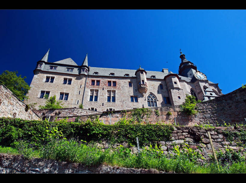 无人,横图,室外,白天,仰视,植物,建筑,微生物,德国,医学,城堡,围墙,生物,摄影,医疗,病毒,生物学,德国文化,万里无云,寄生,生命体,生物病毒,黑森州,彩图,低角度拍摄,绿猴病,绿猴病病毒,绿猴因子,马尔,马尔堡病毒